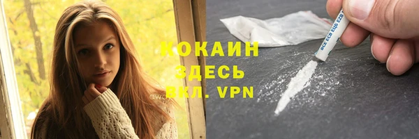 дмт Горняк