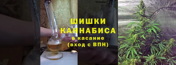 дмт Горняк