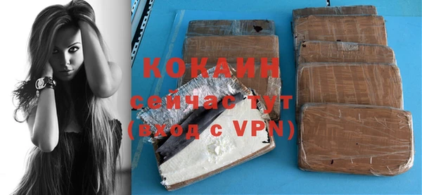 дмт Горняк