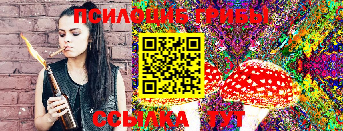 Галлюциногенные грибы Magic Shrooms Зеленогорск
