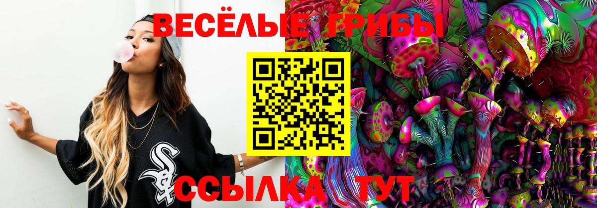 дарнет шоп  Вход с VPN  Зеленогорск  Галлюциногенные грибы Magic Shrooms 